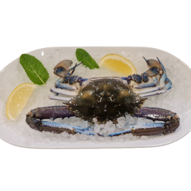 Male Blue Swimmer 350-400g